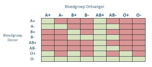 Wijden constante Verbazing Bloedgroepen: van A tot O - Dossier Bloed doneren: van bloedgroepen tot  aanmelden als bloeddonor | Ziekenhuis.nl